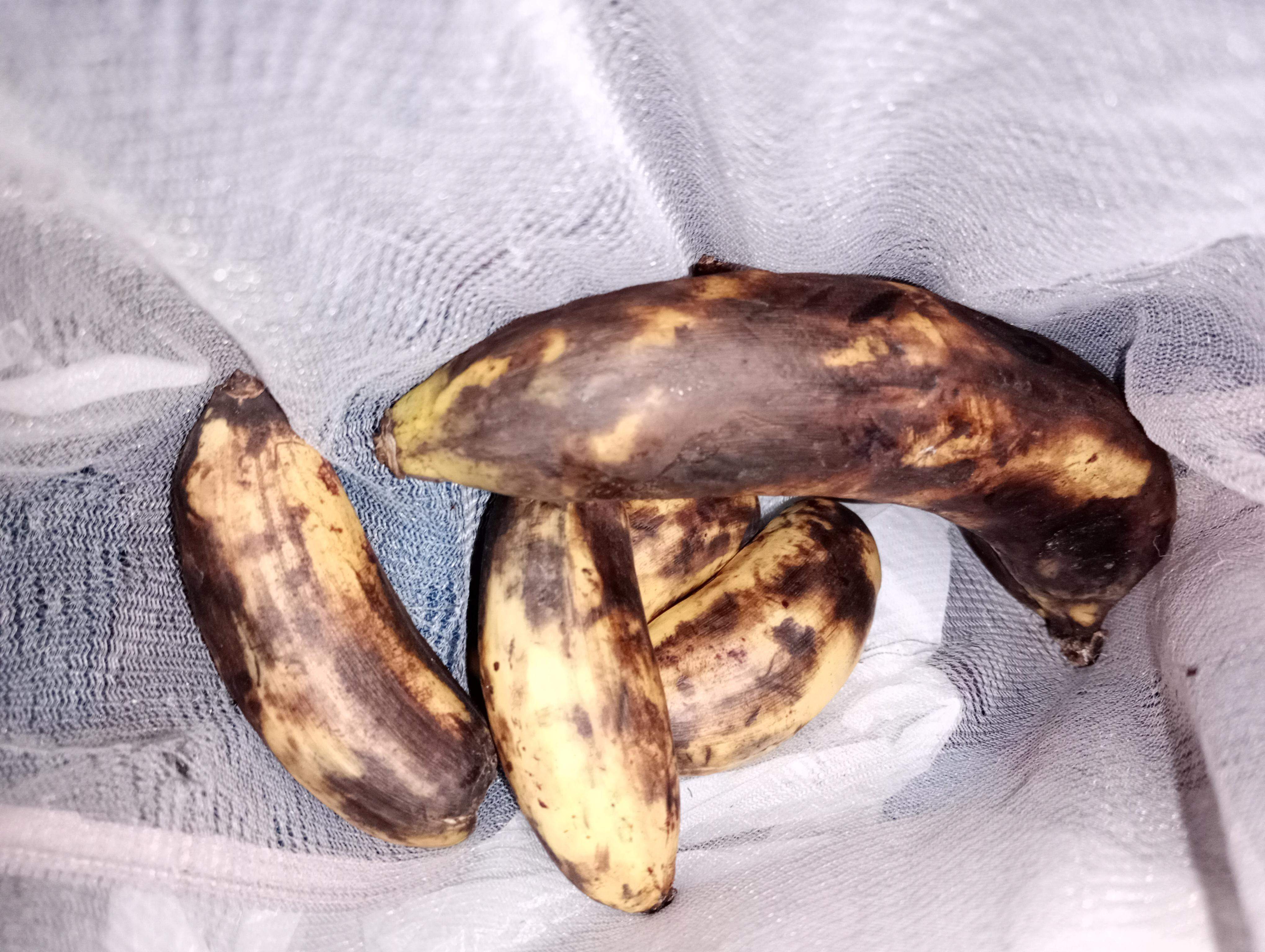 banany w kiepskim stanie