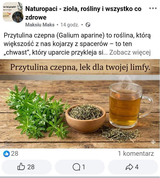 Zawierający błędy wpis na temat ziół 