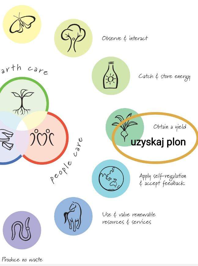 (zasady permakultury- uzyskaj plon)